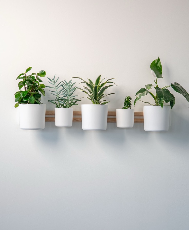 Horizontal Rail with plants